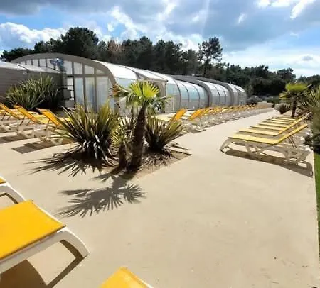 Naphtase - Mh487s - Pause Privilège *