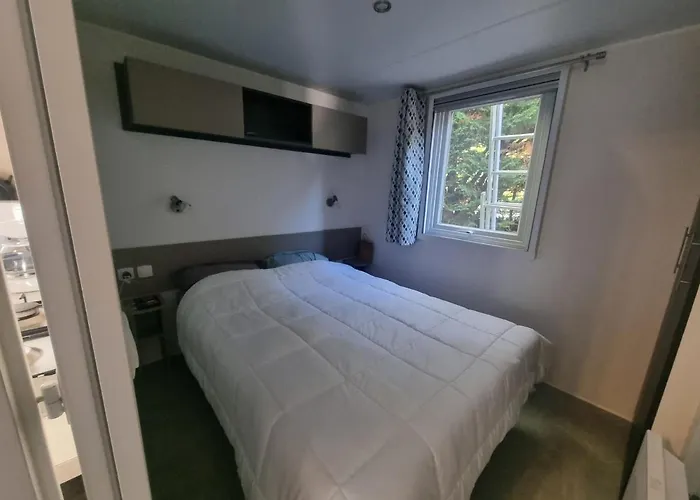 Naphtase - Mh487s - Pause Privilege